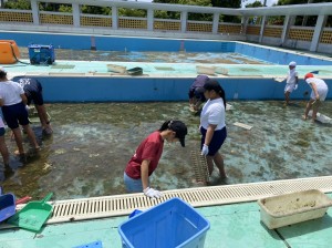 IMG-5382